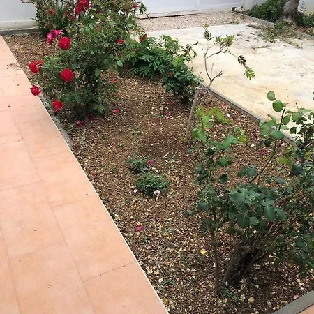 Lejlighed Apartman Maricevic